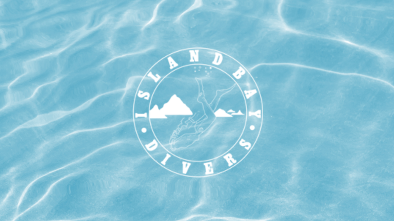 Island Bay Divers